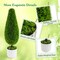 Costway 2 Pack Artificial Cedar Plant 3 FT Potted Teardrop Shaped Bush with Premium PE Leaves